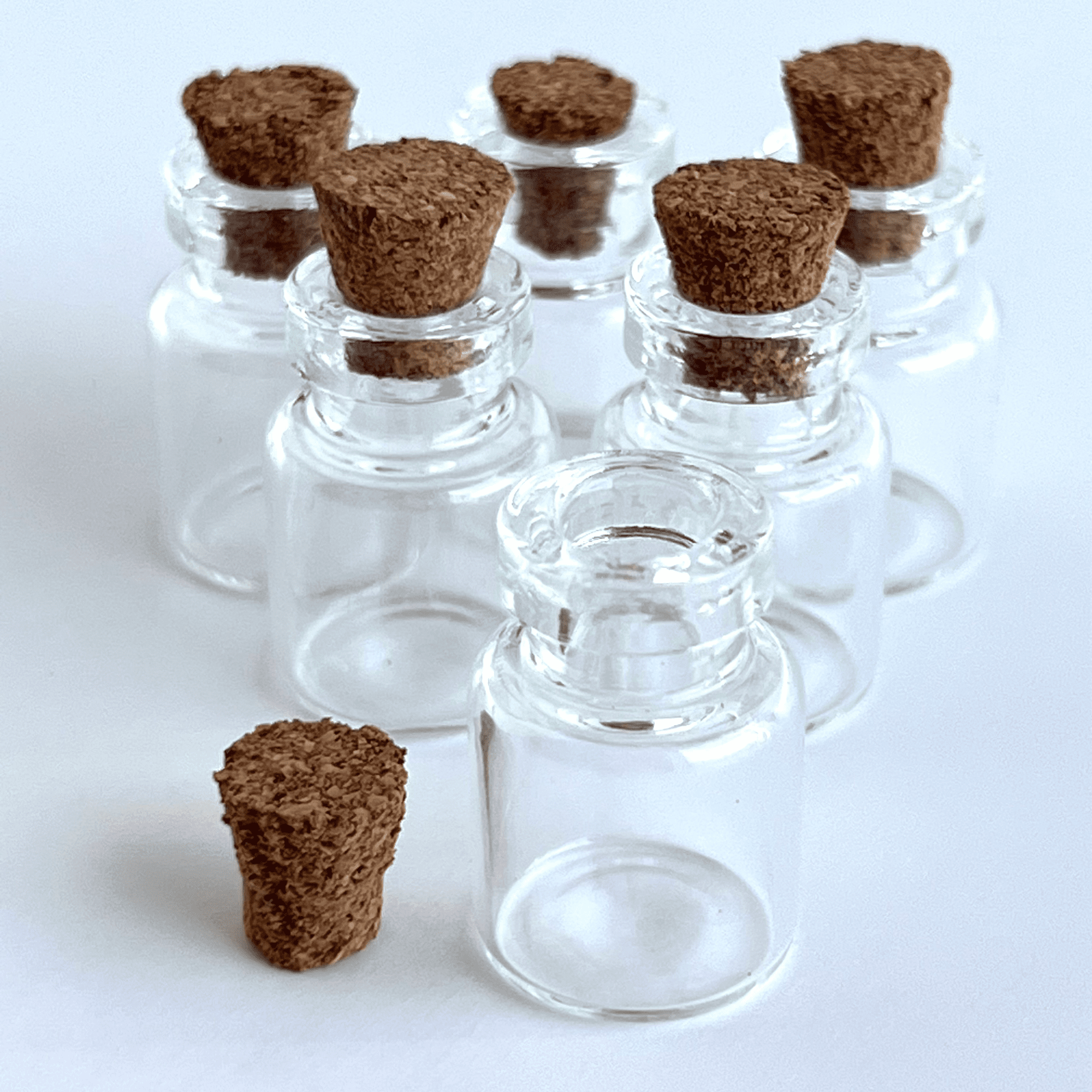 Mini Glass Containers 6 PACK