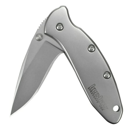 Kershaw Chive Pocket Knife (1600); 1.9” 420HC Steel Blade with 410 Stainless Steel Handle, SpeedSafe Assisted Opening with Flipper, Frame Lock, Tip-Lock Slider and Single-Position Pocketclip; 1.7 (Best Flipper Knife Under 100)