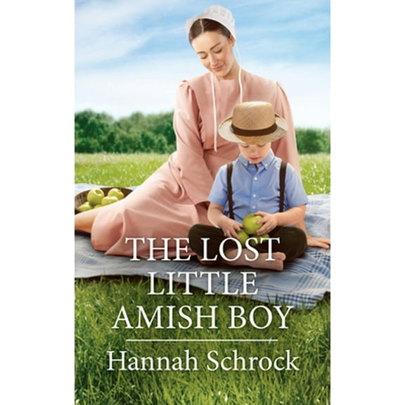 Pre-Owned The Lost Little Amish Boy (Mass Market Paperback) 1335490051 9781335490056