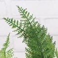 thumbnail image 3 of OULII Fish Tank Grass Simulated Grass Plastic Green for Realistic Setup 1Pack, 3 of 4