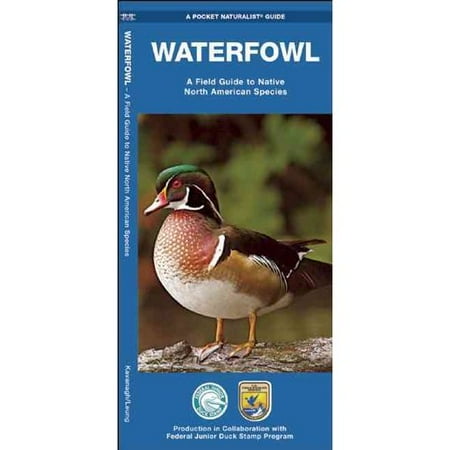 Waterfowl: A Field Guide to Native North American Species