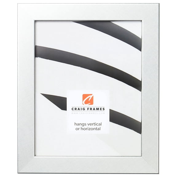 Craig Frames Bauhaus 125, 20x26 inch Picture Frame, Modern Brushed Silver