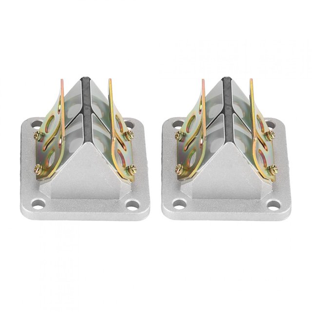 Oubit Moto Admission Reed Valve, 2pcs Moto Admission Reed Admission Reed Valve G Admission Reed Valve Véritable Excellence