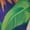 Colorful Palm Leaves, variant on Psesaysky Octopus Print Couples Matching Outfit Sleeveless Dress for Women A Line Tank Sundress &Mens Button Down Shirts for Party Holiday,S-5XL