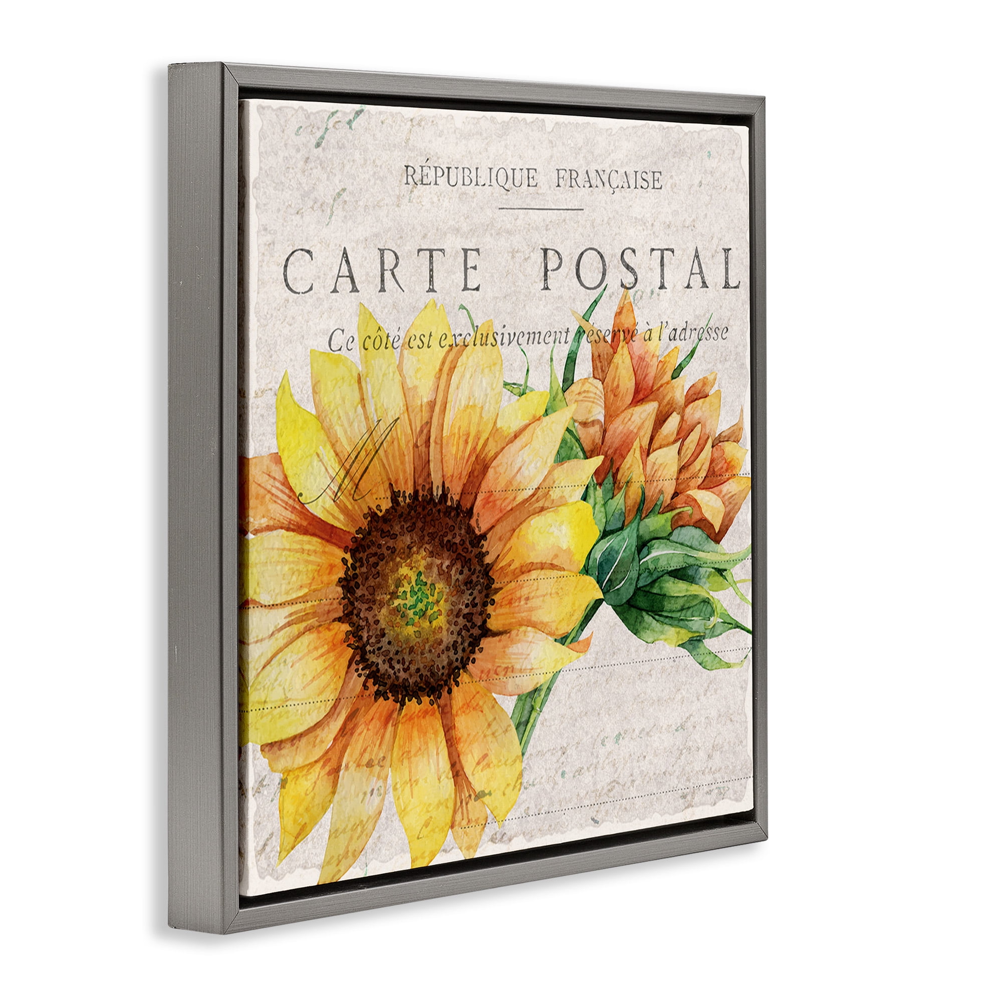 Stupell Industries Vintage French Sunflower Postcard Botanical & Floral Painting Gray Floater Framed Canvas Art Print Wall Art, 25 x 25