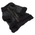thumbnail image 4 of ROPA DE MOTOCICTA FRESCA Para Mascotas, Chaqueta de Cuero Pu A Prueba de Viento para Perros Con Felpa Para Perros Pequeños, Medianos y Grandes, Abrigos de Moda de Invierno, 4 of 7