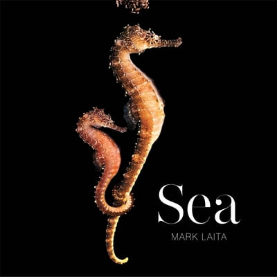 Pre-Owned Sea (Hardcover) 1419700871 9781419700873