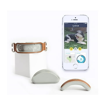 smartykat cat toy electronic motion