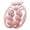 Pink, variant on awjaisca Anti-Cellulite Leg Massage Roller Lymphatic Drainage Deep Tissue Therapy Thighs Arm Back Shoulder Muscle Relaxation Massage Tool with 15 Rollers