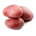 thumbnail image 5 of 2 Lbs Red Potatoes Whole Tubers Seeds Potatoes Red Potato Seeds for Planting, 5 of 6