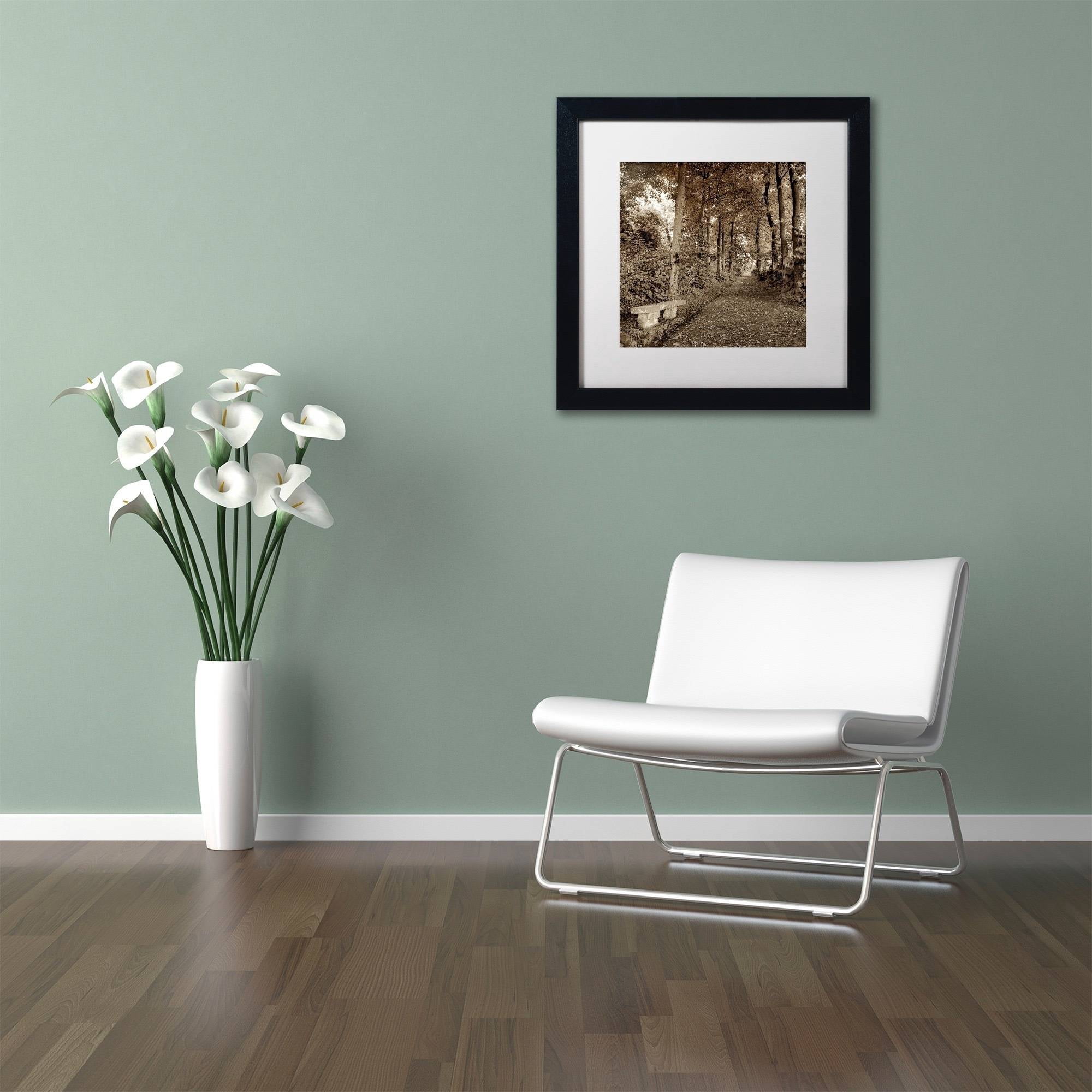 Trademark Fine Art "Fiesole Giardini II" Canvas Art by Alan Blaustein, White Matte, Black Frame