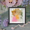 thumbnail image 3 of WASHWEPE Flower Shadow Box Frame Black Acrylic Display Dried Flowers 1Pcs, 3 of 8