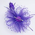thumbnail image 3 of AOOCHASLIY Hats for Women Clothes Hat for Women Tea Party Headband Kentucky Derby Wedding Cocktail Flower Mesh Feathers Hair Clip, 3 of 3
