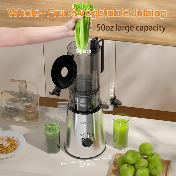 Cold Press Juicer, Masticating Juicer with Large Feed Chute Fit Whole Fruits & Vegetables, Stainless Steel Slow Masticating Juicer Easy to Clean, 99.6% Juice Purity, Metallic Silver
