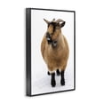thumbnail image 3 of Stupell Industries Brown Little Goat Black Framed Giclee Art design by Deborah Revell, 24 x 16, 3 of 8