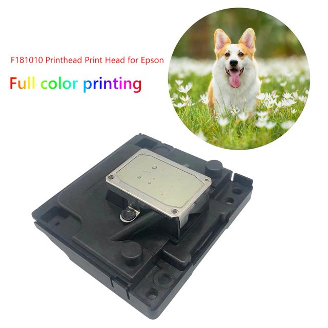 Cabezal de impresión a todo color para Epson CX3900 CX3700 CX5600 ME200 ME300 (Oro)