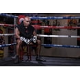 thumbnail image 3 of Guantes de Boxeo Venum Réplica Mike Tyson 10 Onzas Negro, 3 of 3