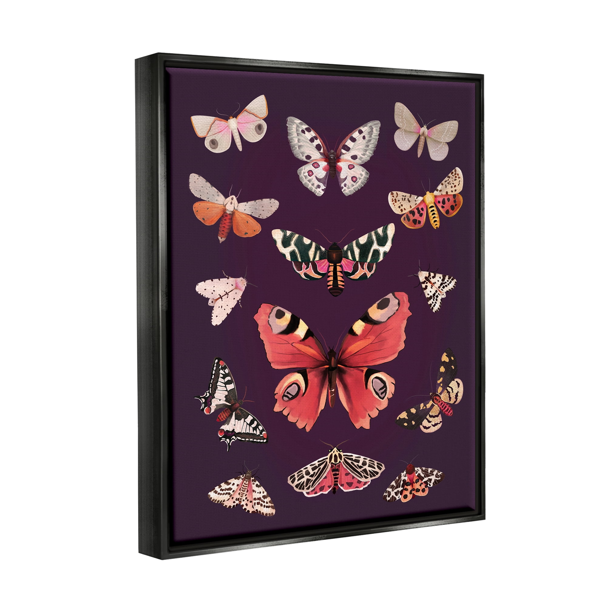 Stupell Industries Vintage Wildlife Moths Animals & Insects Painting Black Floater Framed Art Print Wall Art, 25 x 31