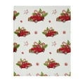 thumbnail image 3 of Kate Aurora Christmas Fleece Polyester Throw, 50" x 60", 3 of 3