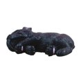 thumbnail image 1 of Billuyoard Dormir Perro Nevera Pegatina Bulldog Francés Mini Toy Imán Decor Novel Decoración del hogar Negro Tipo B Billuyoard JJ9742-02, 1 of 6