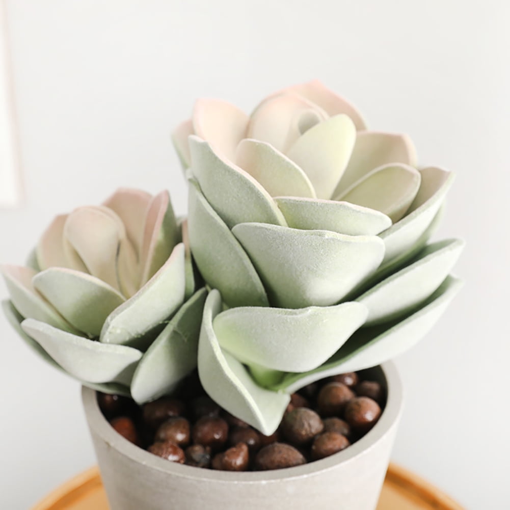 SPRING PARK Fake Succulent Plants Realistic Faux Mini Succulent