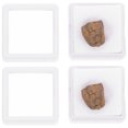 thumbnail image 1 of 2pcs Lithosiderite Adornment Meteorite Ornament Classroom Teaching Specimen, 1 of 9