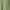Army Green, variant on Virmaxy Toddler Baby Girls Classfit Short Jumpsuit (5-14y) Girls Summer Sleeveless Adjustable Jumpsuit Cotton Linen Strappy Shorts with Pockets Casual One-Piece Shorts Jumpsuit Army Green 7 Years