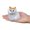 D, variant on ZOUBAOQ Plush Cat Toy,Simulation Plush Toy with Sound,Mini Lovely Animal Doll Cute Cat Stuffed Animal Figurine with Sound Cat Room Car Decoration Birthday for Kids Toddlers