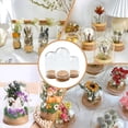 thumbnail image 6 of 1set 15pcs 3 styles Glass Dome Cloche Cover Bell Jar with Cork Base For House Container Dried Flower Display Decoration Clear 22~30x36.5~69mm 5pcs/style, 6 of 6