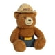thumbnail image 2 of Peluche Aurora Iconic Smokey Bear Brown 25 cm, 2 of 5