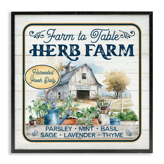 Stupell Industries Fresh Daily Herb Farm Text & Numbers Painting Black Framed Art Print Wall Art, 12 x 12