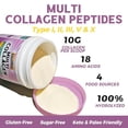thumbnail image 3 of Vitallibre Multi Péptidos de Colágeno en Polvo Tipo I II III V X, Proteína de Colágeno Hidrolizado para Mujeres y Hombres, Piel, Cabello, Uñas, Sin Sabor, Sin OGM, Keto y GF, Cero Azúcar, 45 porciones, 3 of 5