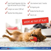 Adams Plus Flea & Tick Carpet Spray Indoor Home Pest Control 16 oz.