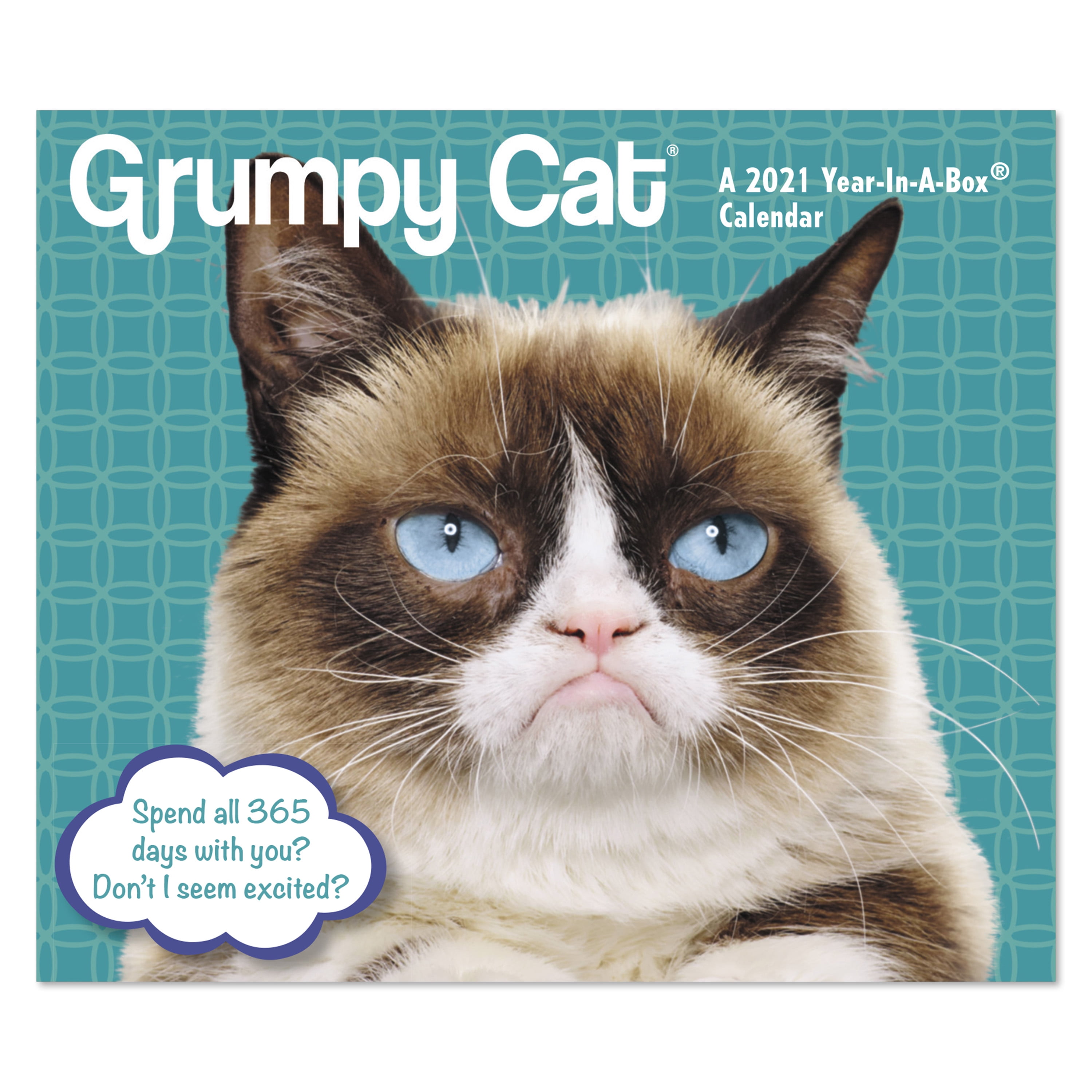 Mead January 2021 December 2021 Year In A Box Calendar Grumpy Cat Walmart Com Walmart Com grumpy cat calendar 2021 january