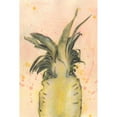 thumbnail image 3 of McCavitt, Naomi 11x14 Black Modern Framed Museum Art Print Titled - Pineapple Delight II, 3 of 5