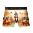 thumbnail image 2 of Happy Thanksgiving Bernese Mountain Dog Give Thanks Fall Beanie Scarf Welcome All Over Print Boxer Briefs Underwear for Men Dad Berner Lover Gifts - 00020, 2 of 6