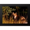thumbnail image 2 of Mansfield, Kathy 14x11 Black Modern Framed Museum Art Print Titled - Fox Stare, 2 of 5