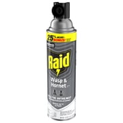 Raid Wasp & Hornet Killer Spray, 22 Ft Jet Spray Nest Killer, Outdoor, 17.5 oz