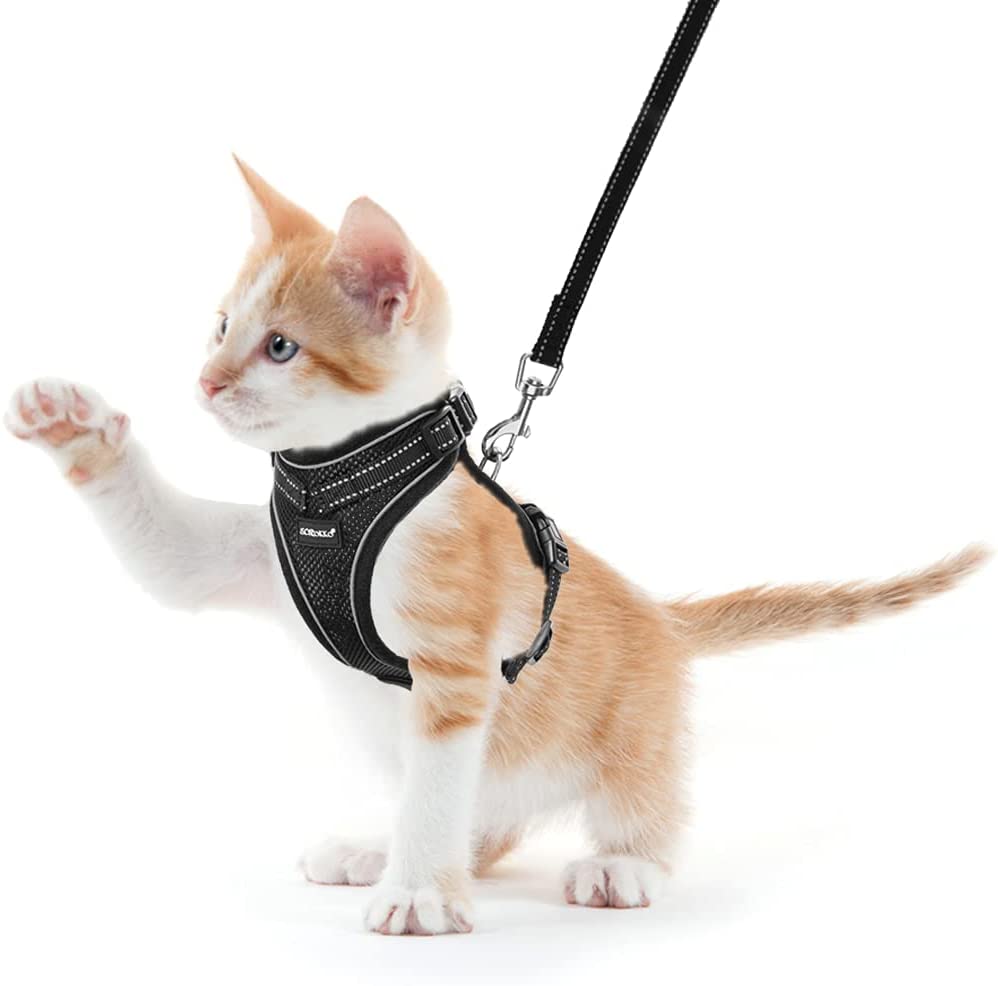 Cat Harness and Leash Set Soft Breathable Mesh Summer Cooling Vest Harness,  Reflective Adjustable Cat Harness for Outdoor Walking with Escape Proof  Buckle for Kitten, Puppies… Walmart Canada
