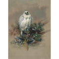 thumbnail image 3 of Joseph Wolf 18x24 Black Modern Framed Museum Art Print Titled - The Greenland Falcon (1861-1867), 3 of 5