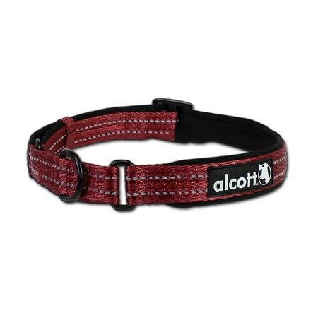 UPC: 0849910105432 | Alcott Adventure Martingale Collar with Reflective Stitching & Neoprene Padding