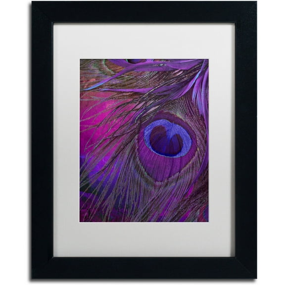Trademark Fine Art "Peacock Candy IV" Canvas Art by Color Bakery White Matte, Black Frame