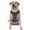With Accessories, variant on Vsdgher Cartoon Lighthouse Pattern Dog Harness,No Pull Pet Harness with Soft Padded Handle,Adjustable Reflective Vest with 2 Buckles,4 Slide Buckles,S-XL Small