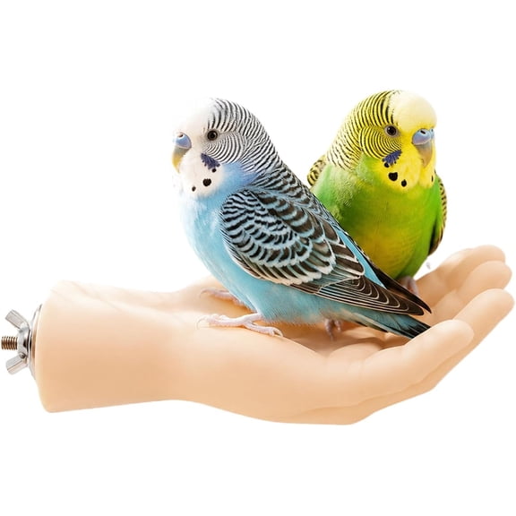Bird Perch Realistic Hand, Fake Hand Parrot Perch, Non-Slip Bird Cage Perches for Cage, Desensitization Interactive Bird Training Toy, Perch Stand For Budgies Parakeets Cockatiels Conures