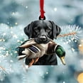 thumbnail image 2 of GQDIN Duck Hunting Christmas Ornament - 2D Flat Acrylic Mallard Duck Decor for Xmas Tree - Ideal Gift for Duck Hunters & Outdoor Enthusiasts Holiday Decoration, 2 of 7