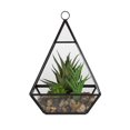thumbnail image 1 of DesignOvation Terrarium de table en verre de 22,8&nbsp;cm de haut avec trio de succulentes artificielles, 1 of 8
