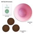 thumbnail image 3 of Buzzy Seeds 2pk Mini Rose & Forget-Me-Not Grow Kit, Indoor Flower Garden Kit, 3 of 5