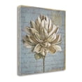 thumbnail image 2 of Seed Pod I By Beth Grove, Fine Art Giclee Print on Gallery Wrap Canvas, Ready to Hang, 2 of 2