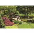 thumbnail image 2 of BSDHOME 7x5ft Photography Backdrop Nature Park Trees Bridge Grass Field Sunshine River Photo Background Backdrops, 2 of 4