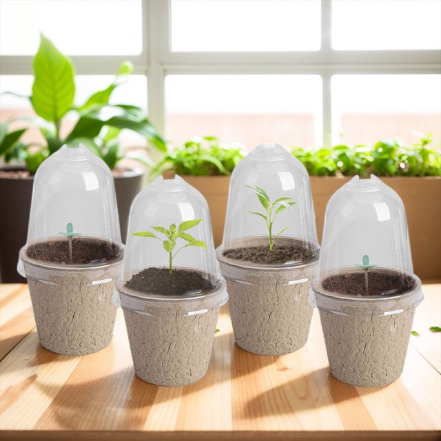 Taza para cultivo de plantas Ehuebsd suministros de jardinería 6cm sin agujeros 10 Uds